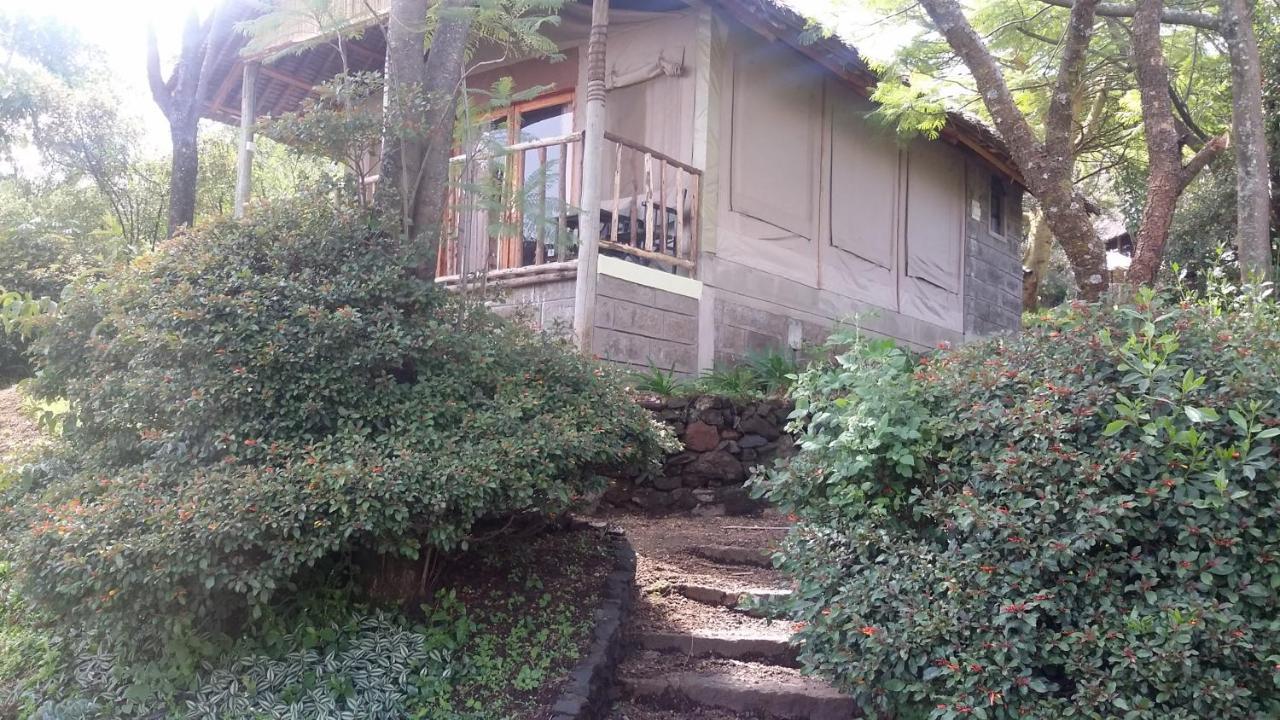 Maili Saba Camp Villa Накуру Екстериор снимка